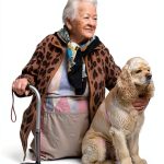 Alzheimer's Roadmap Guide by Omega Press Kindle eBook 3rd Edition-0